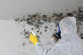 Best Mold Prevention Services  in Blue Mound, TX